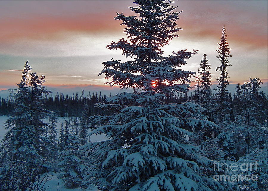 Winter Photograph - Winter Sunrise by Rick  Monyahan
