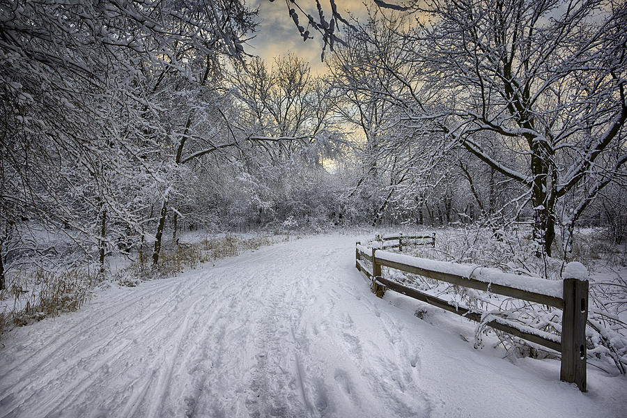 Nature Photograph - Winter Sunrise by Sebastian Musial