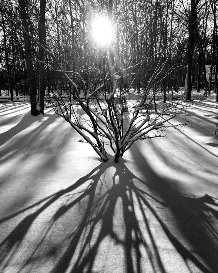 Winter Sunrise Shadows Photograph by Glenn DiPaola