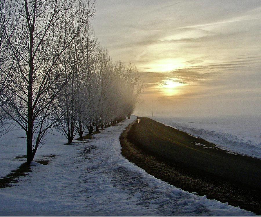 Winter Sunrise Photograph by Shawn M Greener