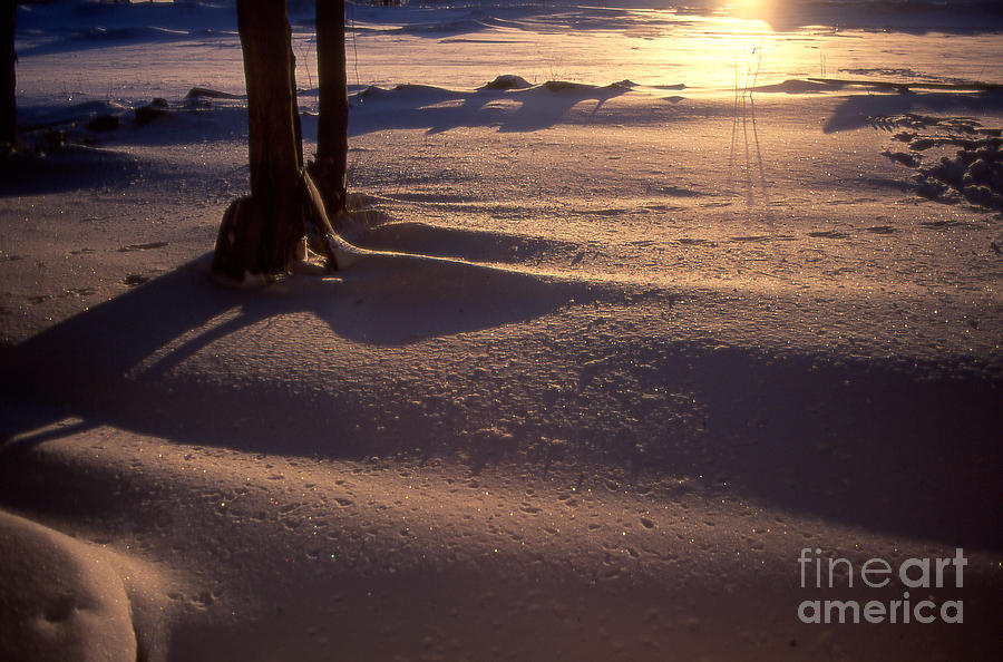 Winter Sunrise Photograph by Timothy Johnson
