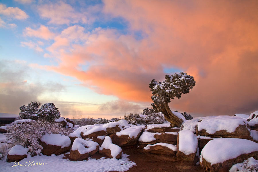 Winter sunset at Deadhorse Point State Park Photograph by Dan Norris