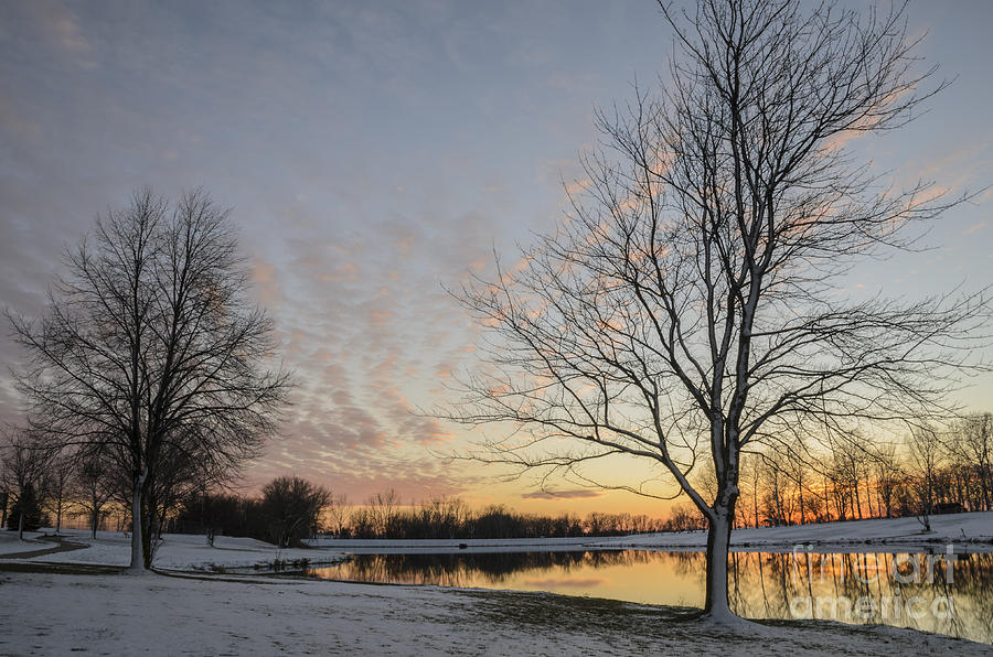Winter Sunset at East Lake Photograph by Tamara Becker