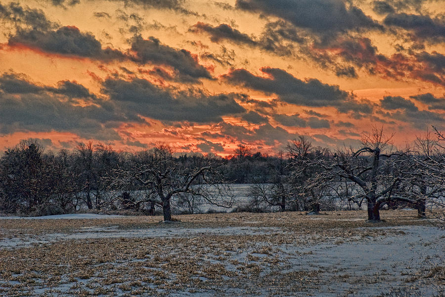 Winter Sunset Photograph by Edward Sobuta