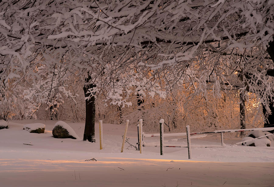 Winter Sunset Ft Hill Park by John Forde Winter Sunset Ft Hill Park by John Forde