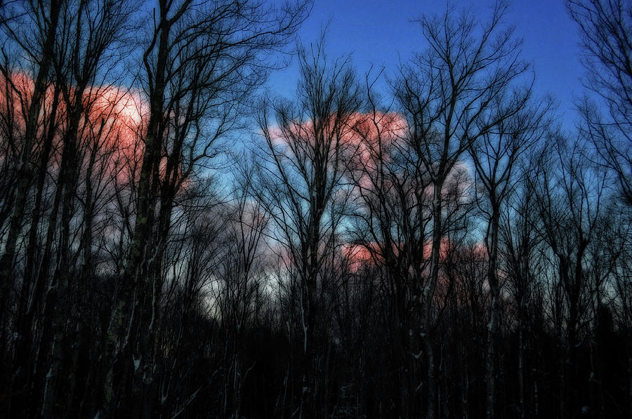 Winter Sunset Glow Photograph by Kathryn Lund Johnson