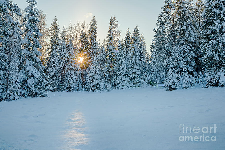 Winter Sunset Photograph by Idaho Scenic Images Linda Lantzy