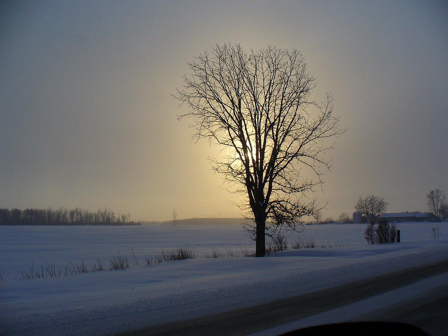 Winter Sunset in Lambton County Photograph by Peggy King