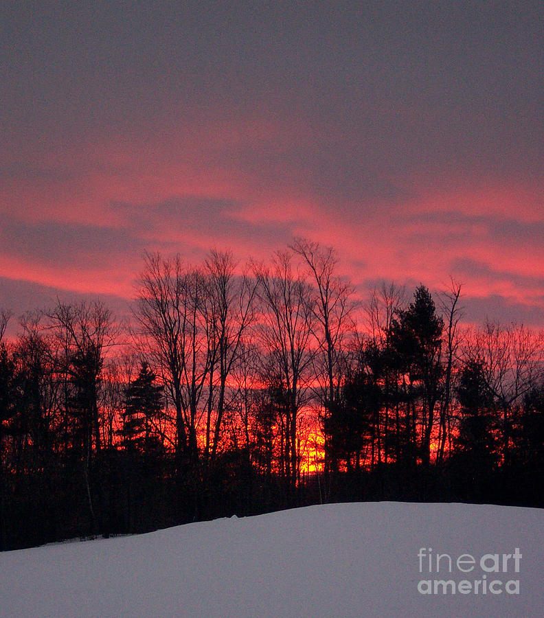 Winter Photograph - Winter Sunset in Maine by Linda Drown