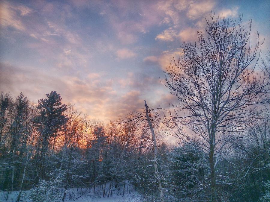 Winter Sunset in New England Photograph by Mary Capriole