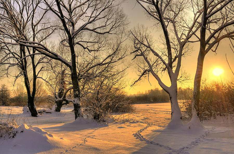 Christmas Photograph - Winter Sunset by Jaroslaw Grudzinski
