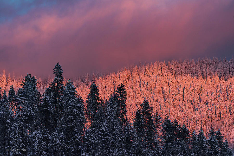 Winter Sunset Photograph by Jody Partin