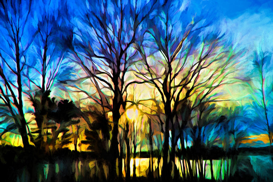 Winter Sunset Digital Art by Lilia S