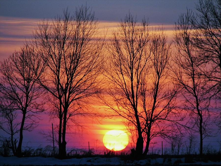 Winter Sunset  Photograph by Lori Frisch