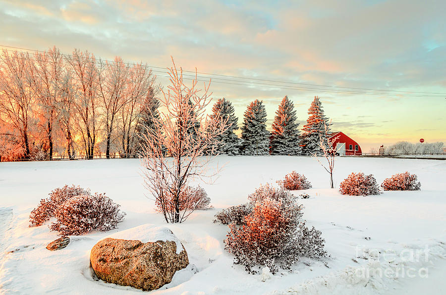 Winter sunset over the red barn Photograph by Viktor Birkus - Fine Art ...