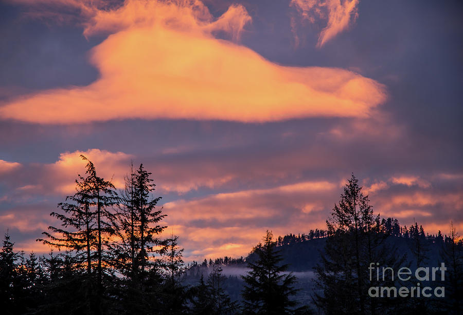Winter Sunset Photograph by Nick Boren