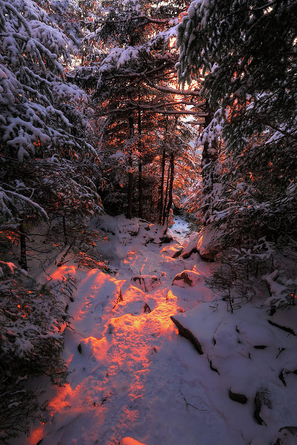 Winter Sunset on the Trail Photograph by White Mountain Images