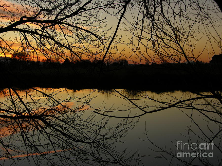 Winter Sunset Reflection Photograph by Carol Groenen