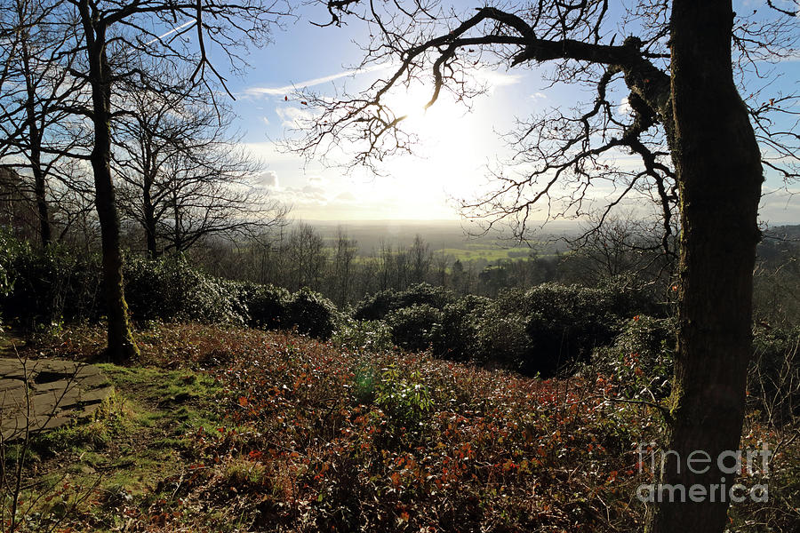Winter Sunshine at Holmbury Hill Surrey Photograph by Julia Gavin