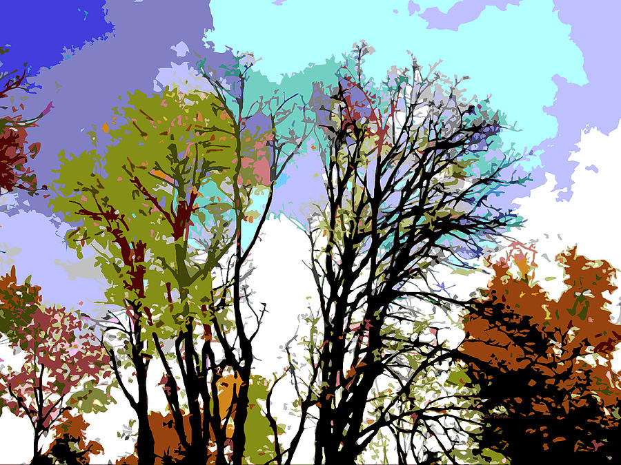 Winter Sunshine by Betty Pehme Winter Sunshine by Betty Pehme