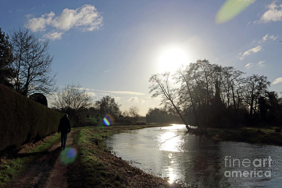 Winter Sunshine on the River Wey at Send Surrey Photograph by Julia Gavin