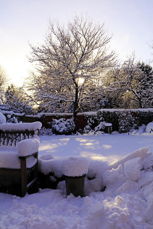 Winter Sunshine Photograph by Tony Murtagh