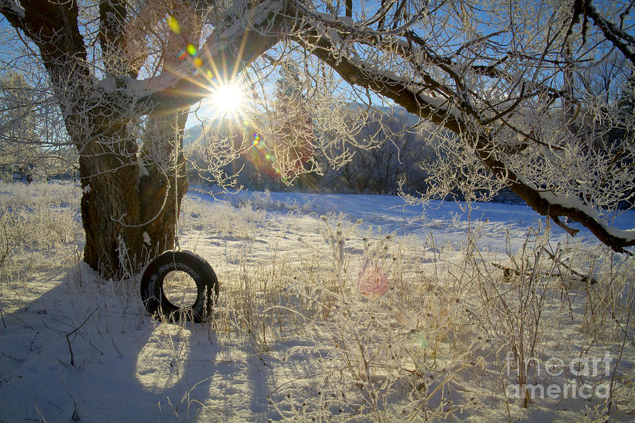 Winter swing Photograph by Idaho Scenic Images Linda Lantzy