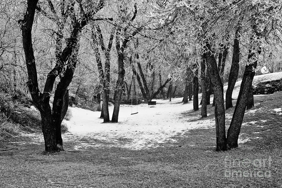 Ice Photograph - Winter Swing by James Jones Ice Photograph - Winter Swing by James Jones