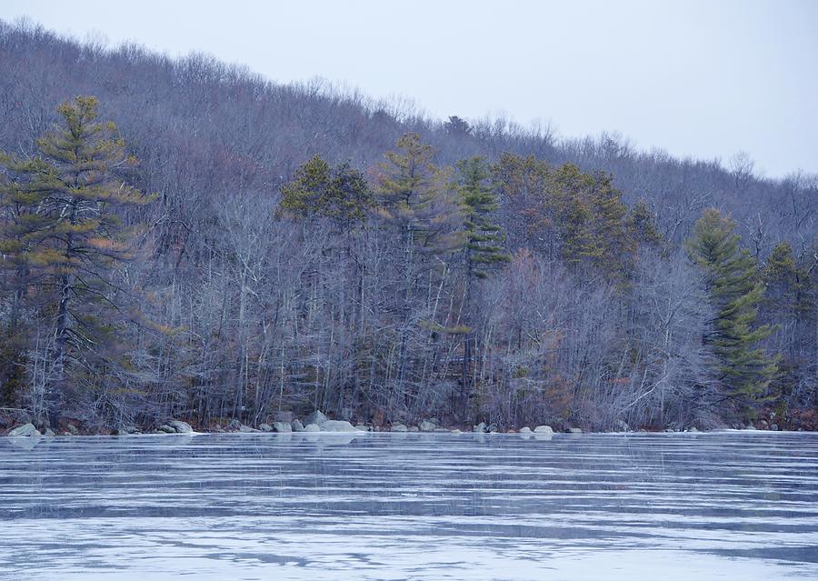 Winter Textures Photograph By Deborah Hochhauser Fine Art America