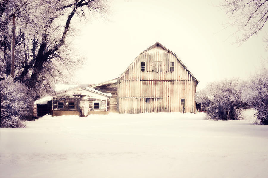 Winter Textures  Photograph by Julie Hamilton