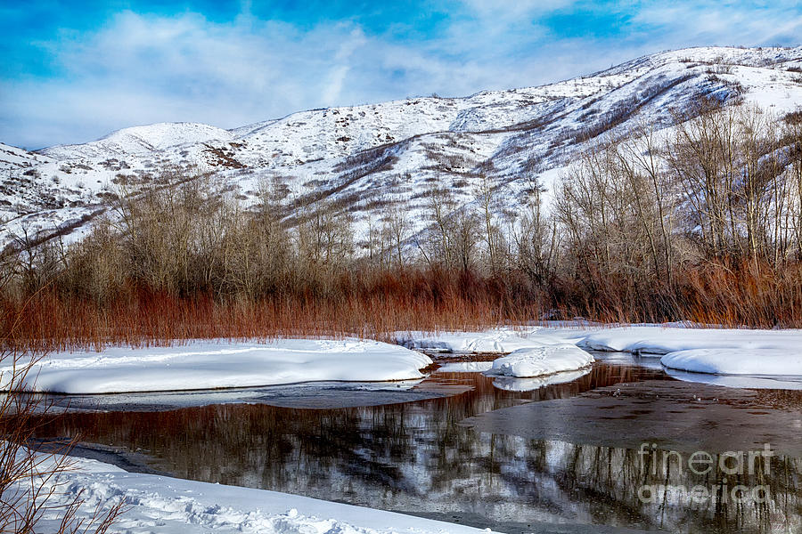 Mountain Photograph - Winter Thaw by David Millenheft