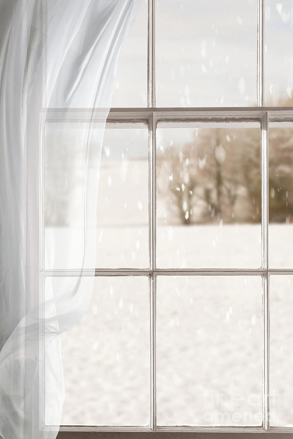 Tree Photograph - Winter Through A Window by Amanda Elwell