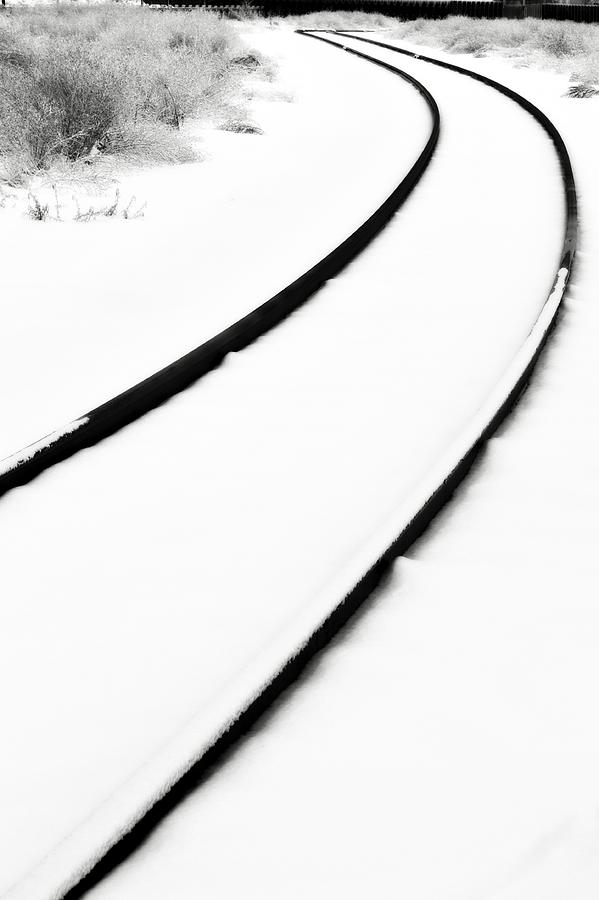 Winter Tracks Photograph by Michelle Calkins