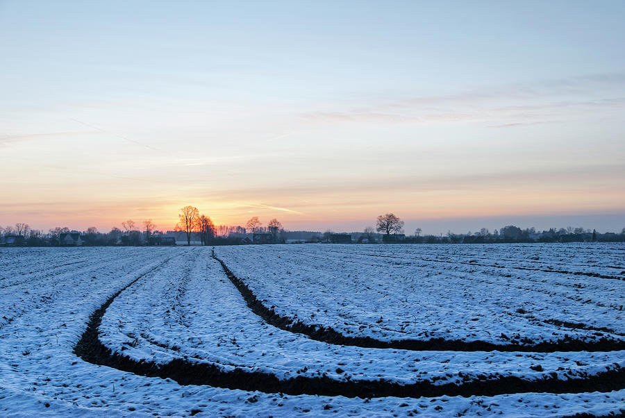 Winter Tracks Photograph by Ramunas Bruzas
