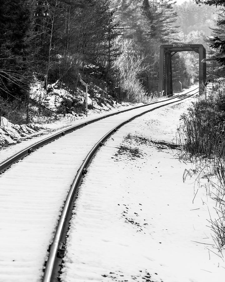 Winter Tracks Photograph by Tim Kirchoff