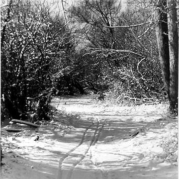 Landscape Photograph - Winter Trail by Allan McConnell