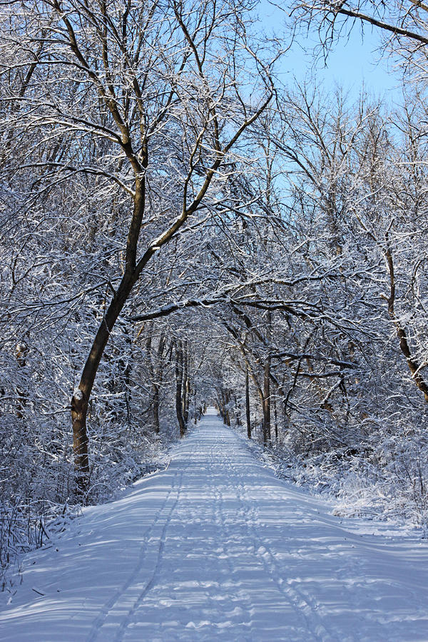 Winter Trail Photograph