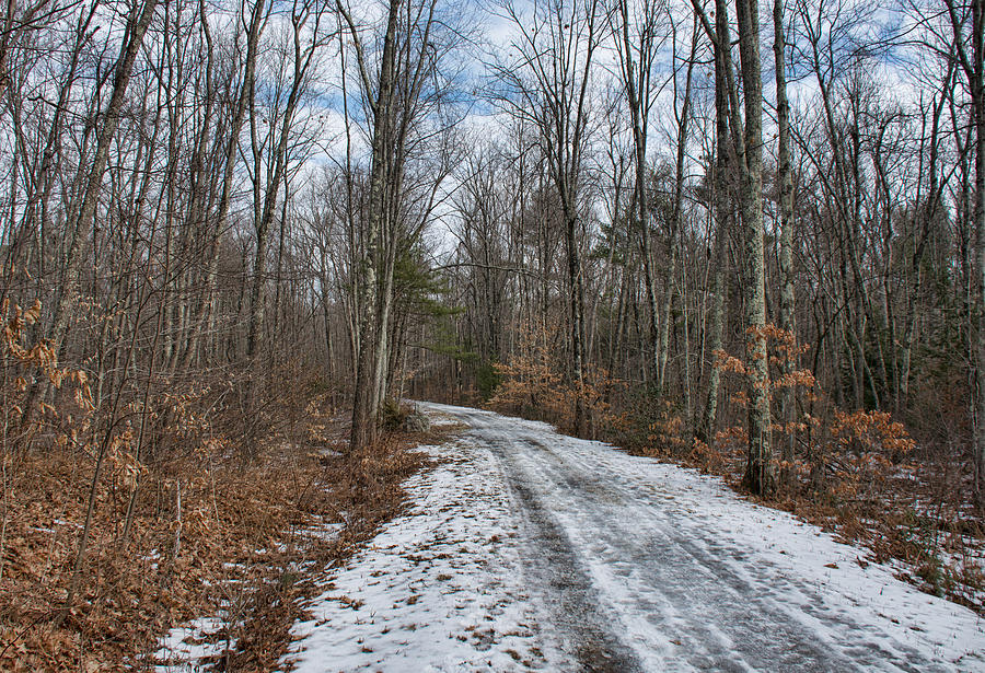 Winter Trail Photograph by John Black