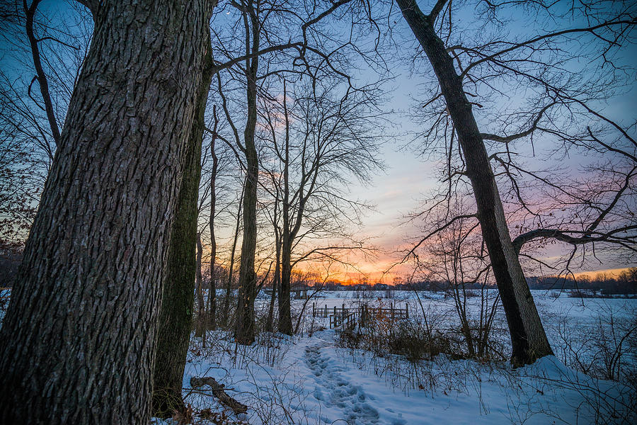 Winter Trails Photograph by Kristopher Schoenleber