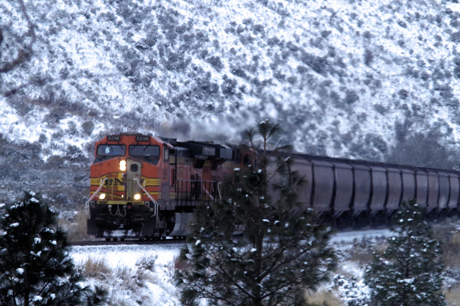Winter Train Photograph