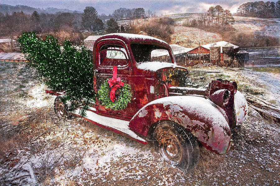 Winter Treasures at Christmastime Photograph by Debra and Dave Vanderlaan