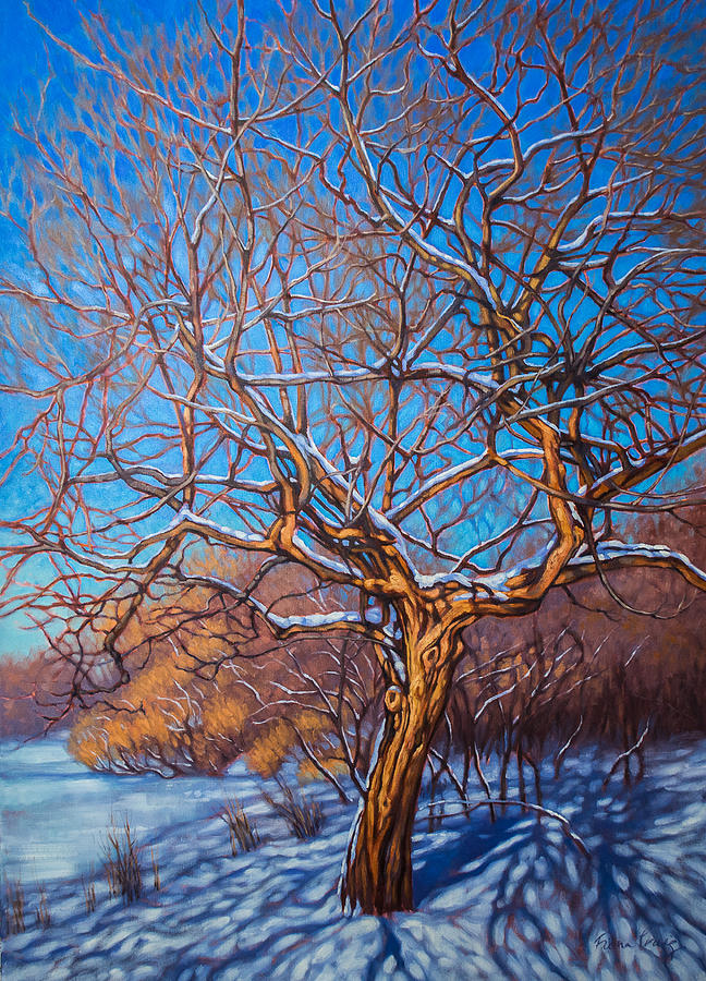 Winter Tree 1 Painting By Fiona Craig