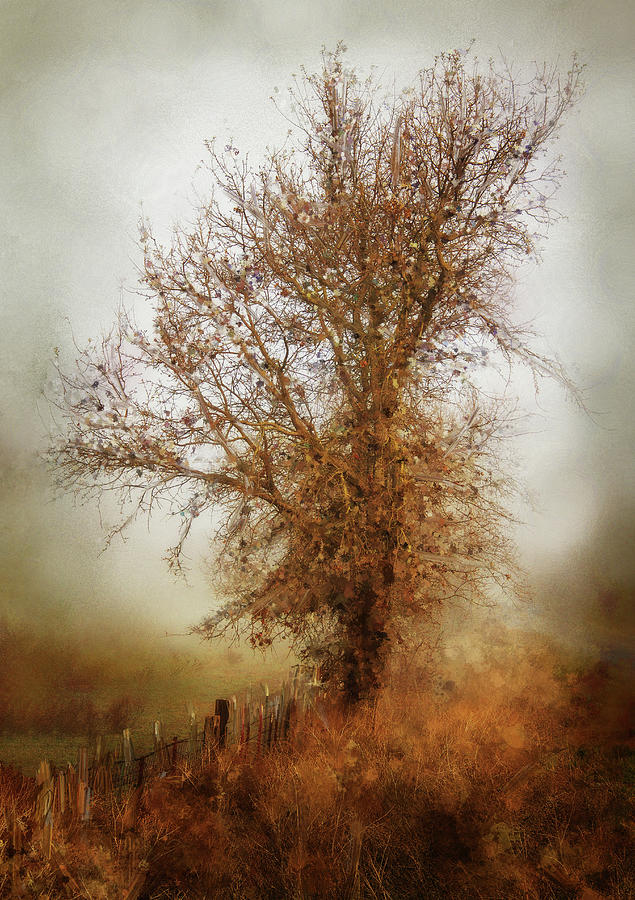 Winter Tree in Fog Digital Art by Terry Davis