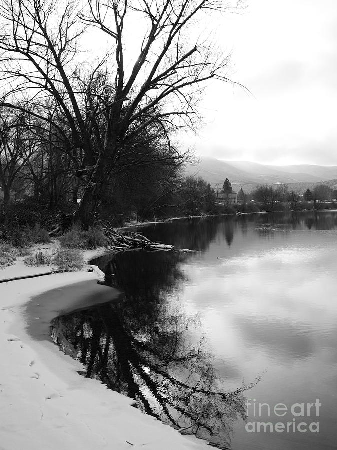 Winter Tree Reflection - Black and White Photograph by Carol Groenen