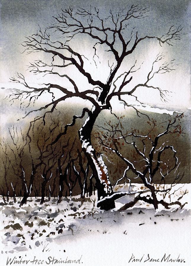 Winter Tree Stainland Painting by Paul Dene Marlor