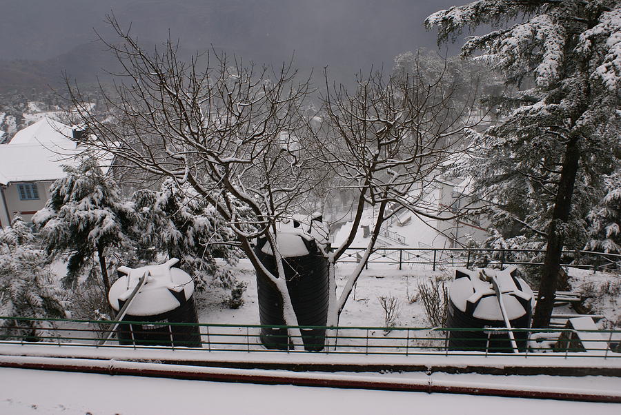 Winter trees and watertanks Photograph by Padamvir Singh