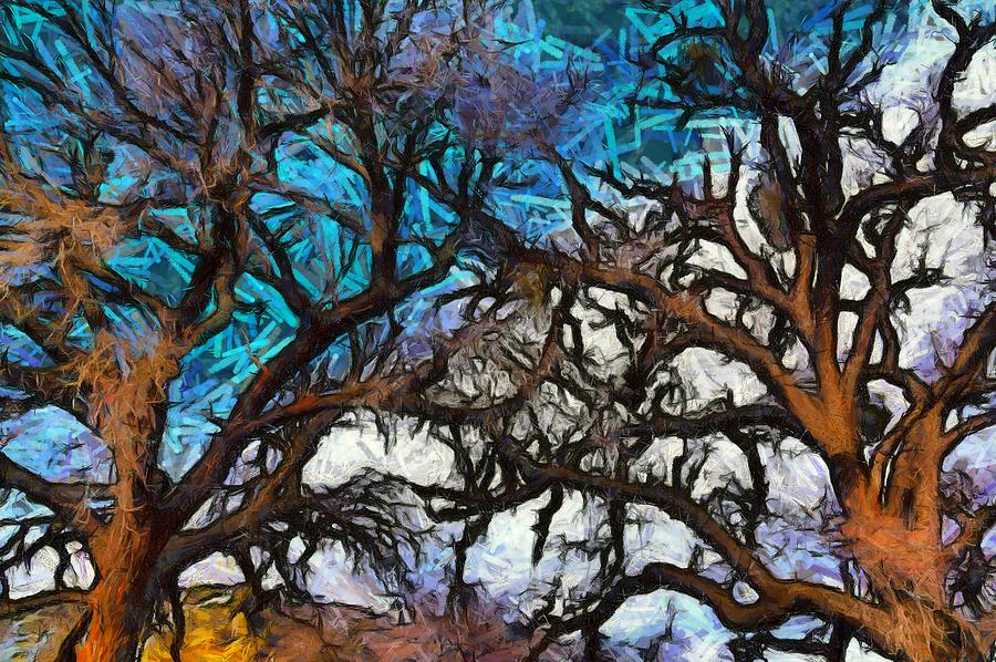 Winter Trees at Fort Tejon Lebec California Abstract Photograph by Floyd Snyder