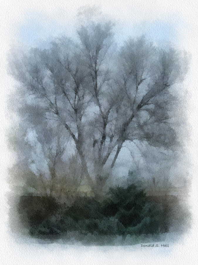 Winter Trees Digital Art by Donald S Hall