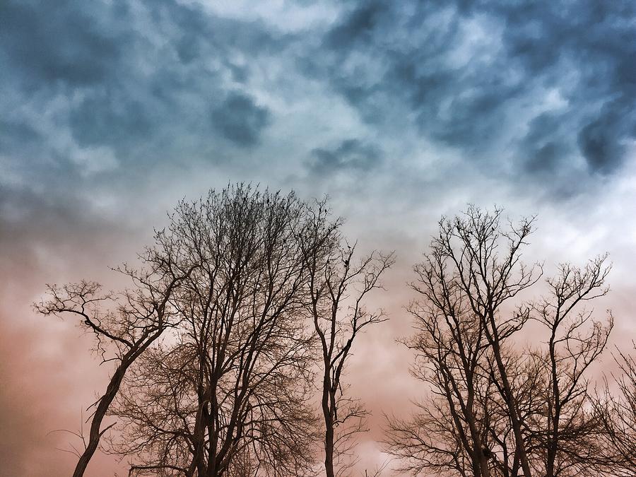 Winter Trees Dreamscape Photograph by Chris Montcalmo
