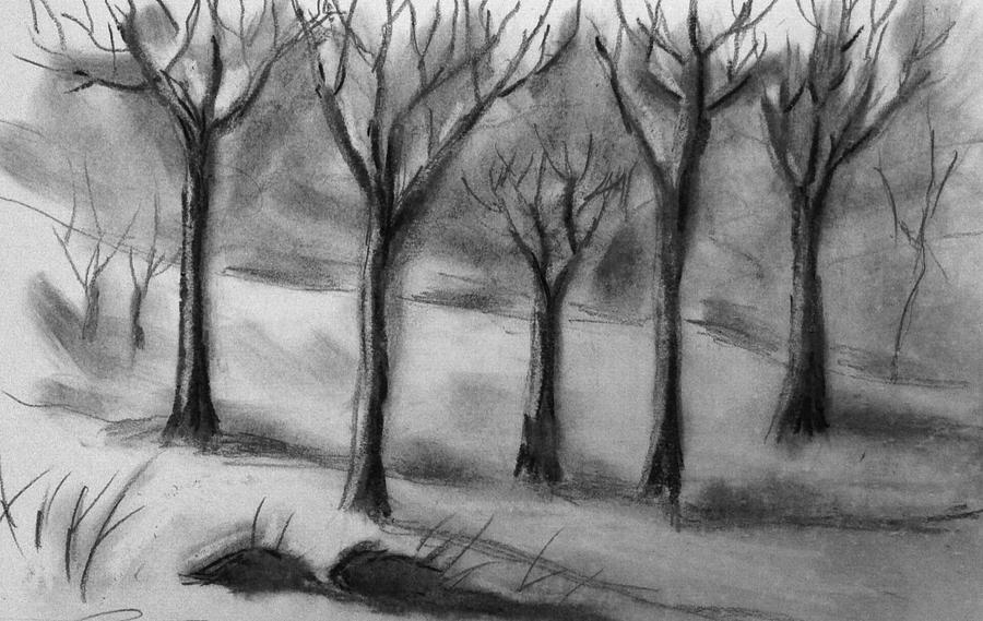Winter trees Drawing by Hae Kim